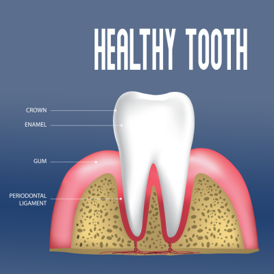 healthy-tooth